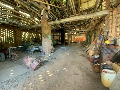 Finca rústica cerezos/castaños en venta en Cuacos De Yuste