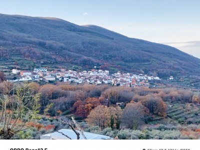 Casa rustica en venta en Casas Del Castañar