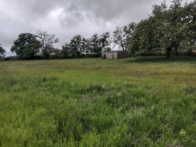 Finca rústica en venta en Arroyomolinos De La Vera