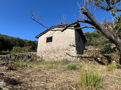 Finca rústica cerezos/castaños en venta en Garganta La Olla