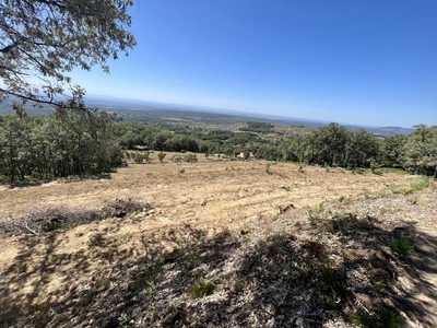 Finca rústica con vivienda en venta en Jarandilla