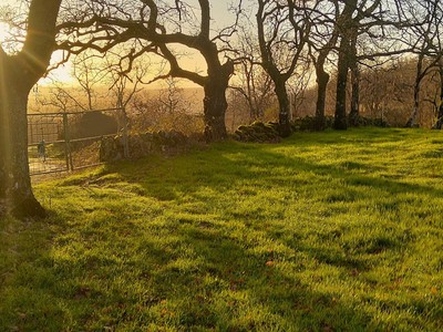 Terreno rural en venta en Gargüera