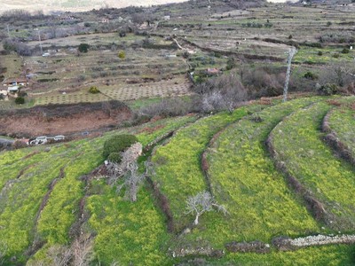 Finca rústica en venta en Casas Del Castañar