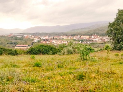 Finca rústica con vivienda en venta en Cuacos De Yuste