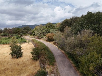 Finca rústica en venta en Barrado