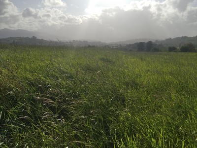 Terreno en venta en Erandio