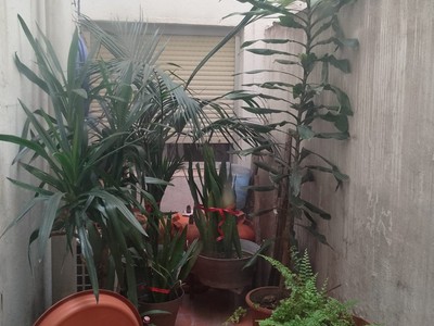 Piso en venta en Valencia, con 2 dormitorios, baño, balcón y terraza