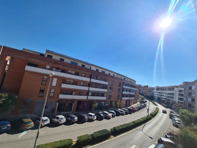 zona