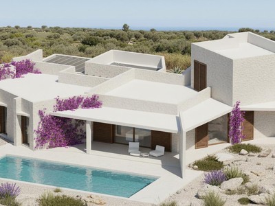 Terreno de 30.000 metros con proyecto para chalet de 300 metros