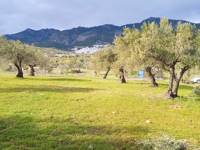 Finca rústica en venta en Casarabonela, S, con terreno
