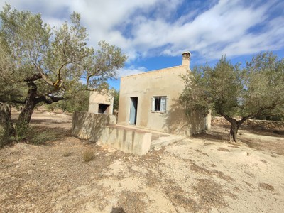 Finca rústica en venta en Camarles, con terreno