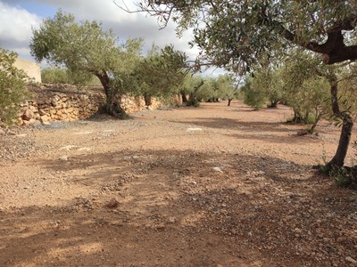 Finca rústica en venta en Lampolla, con terreno
