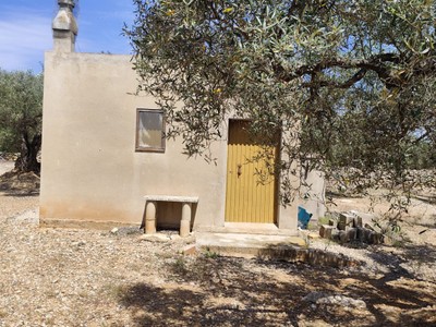 Finca rústica en venta en Camarles, con terreno