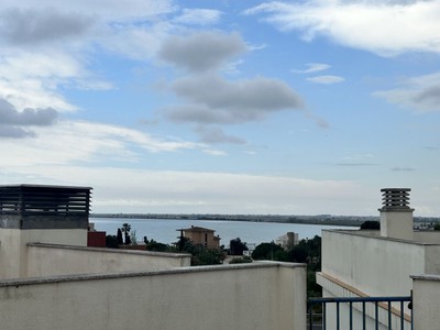 Vistas