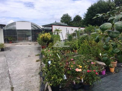 Local comercial en alquiler en Chantada, O Convento