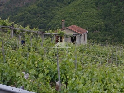 Bodega - viñedo en venta en Chantada, Ribeira Sacra