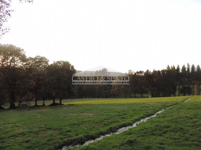 Finca rustica en venta en Toques, Brañas