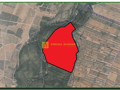 Terreno rural en venta en Uruñuela