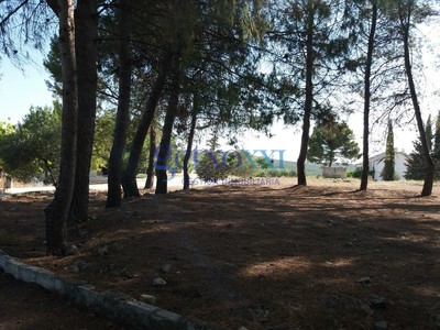 Chalet en venta en Cortijo Mingo Yuste, con terreno