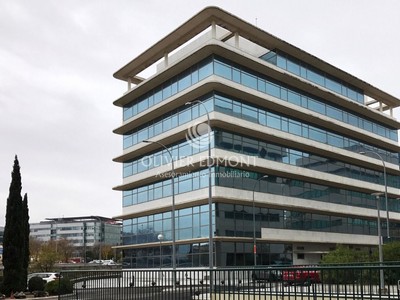 Oficina en alquiler en Madrid, Aeropuerto