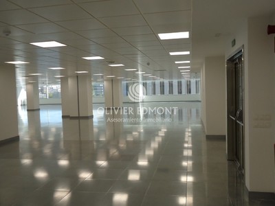 Oficina en alquiler en Madrid, Castellana Prime, con 4 baños