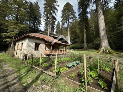 Caserio en venta en Ikaztegieta, con terreno