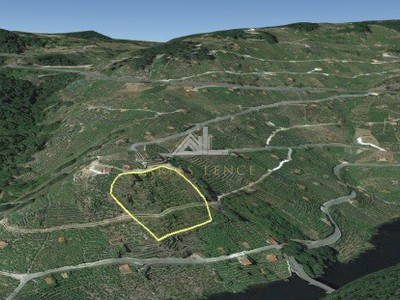 Bodega - viñedo en venta en Chantada, Ribeira Sacra