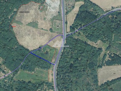 Terreno en venta en Monforte De Lemos