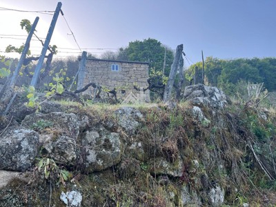 Bodega - viñedo en venta en Chantada