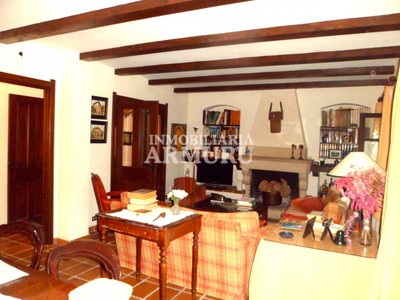 Salón con chimenea