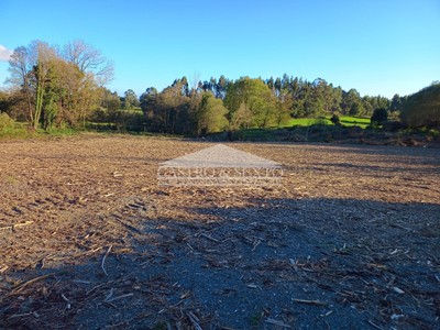 Solar en venta en Melide, Sancibrao