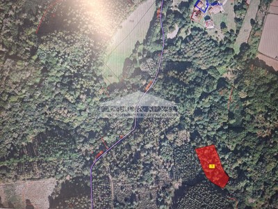 Finca rustica en venta en Palas De Rei, Lg O Xestrar