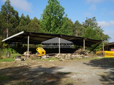 Local-bajo comercial en venta en Melide