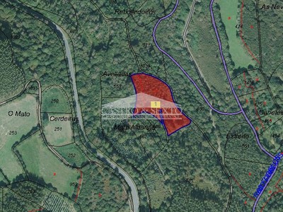 Finca rustica en venta en Toques, Brañas