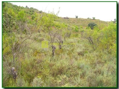 Terreno rural en venta en Cardenas