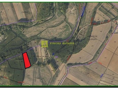 Terreno rural en venta en Anguciana