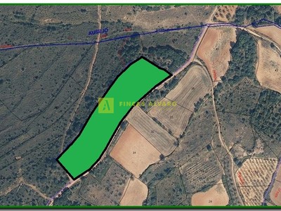 Terreno rural en venta en Ocón