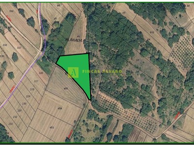 Terreno rural en venta en Badarán