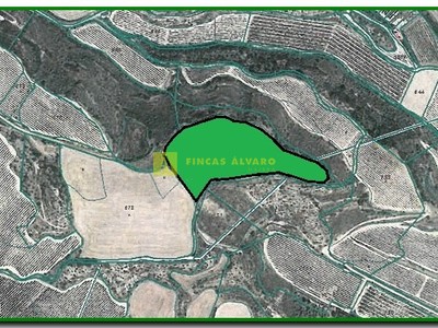 Terreno rural en venta en Yecora