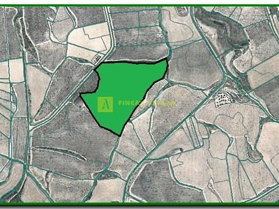 Terreno rural en venta en Yecora