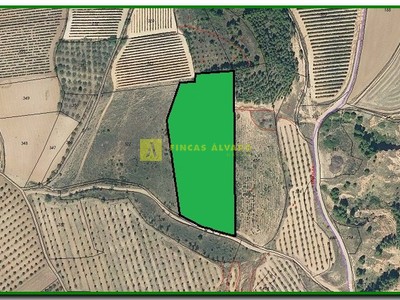 Terreno rural en venta en Murillo De Río Leza