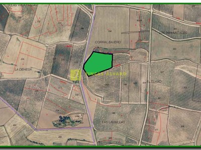 Terreno rural en venta en Azofra