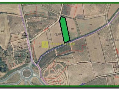 Terreno rural en venta en Azofra