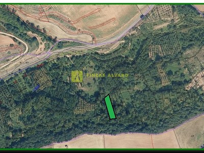 Terreno rural en venta en Matute