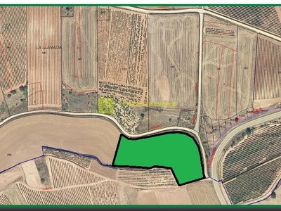 Terreno rural en venta en Cordovín