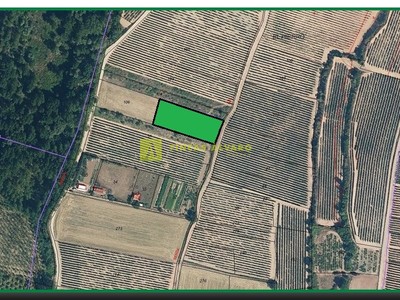 Terreno rural en venta en Najera