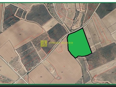 Terreno rural en venta en Hormilla