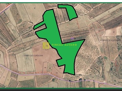 Terreno rural en venta en Cardenas