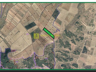 Terreno rural en venta en Alesanco