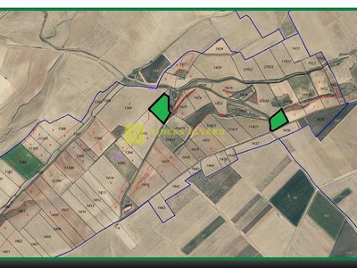Terreno rural en venta en Bañares